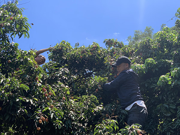 荔行朗洲，相聚東科
