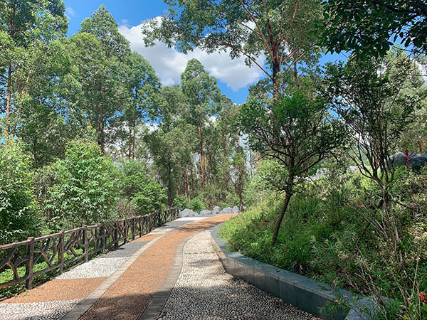 荔行朗洲，相聚東科
