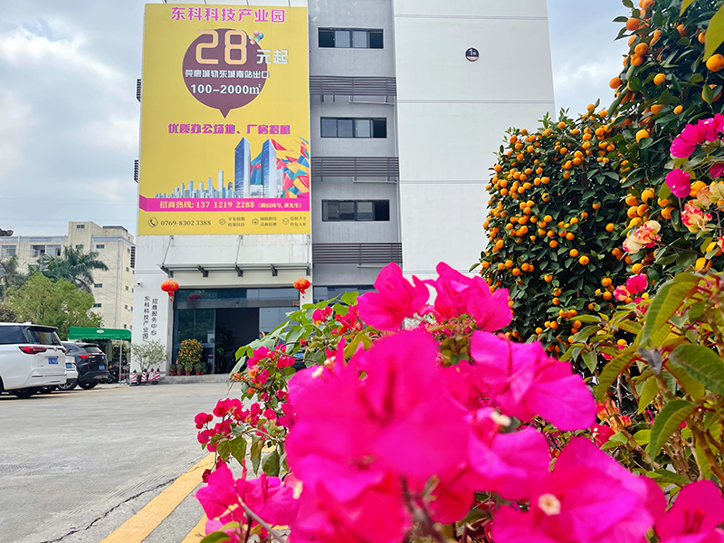 【喜報(bào)】東科集團(tuán)旗下東科科技產(chǎn)業(yè)園被評(píng)為國(guó)家級(jí)科技企業(yè)孵化器