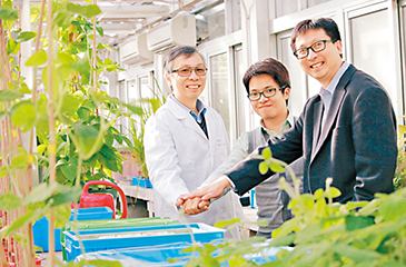 中山高科技孵化器金融創新