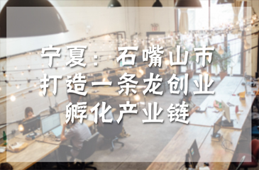寧夏：石嘴山市打造一條龍創業孵化產業鏈